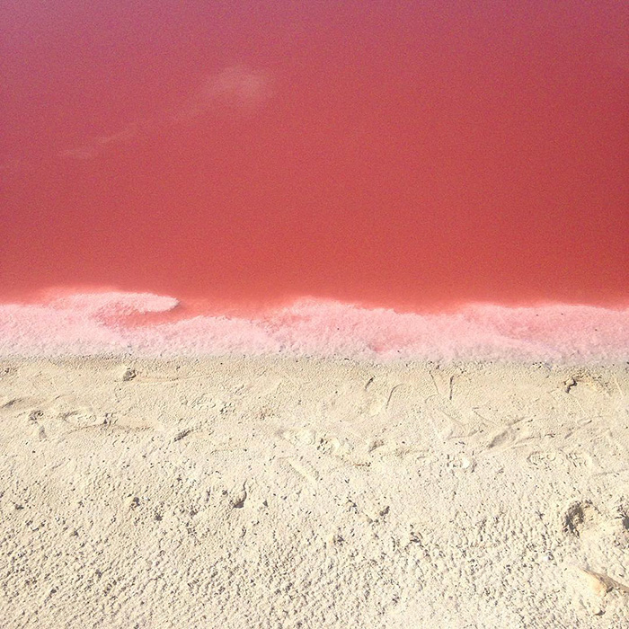 pink-lagoon-las-coloradas-mexico-18